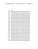 NOVEL DNA CLONING METHOD RELYING ON THE E.COLI recE/recT RECOMBINATION     SYSTEM diagram and image