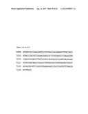 NOVEL DNA CLONING METHOD RELYING ON THE E.COLI recE/recT RECOMBINATION     SYSTEM diagram and image