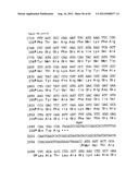 NOVEL DNA CLONING METHOD RELYING ON THE E.COLI recE/recT RECOMBINATION     SYSTEM diagram and image