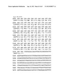 NOVEL DNA CLONING METHOD RELYING ON THE E.COLI recE/recT RECOMBINATION     SYSTEM diagram and image