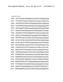 NOVEL DNA CLONING METHOD RELYING ON THE E.COLI recE/recT RECOMBINATION     SYSTEM diagram and image