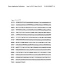 NOVEL DNA CLONING METHOD RELYING ON THE E.COLI recE/recT RECOMBINATION     SYSTEM diagram and image