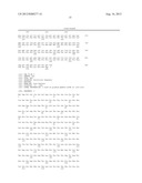 NOVEL DNA CLONING METHOD RELYING ON THE E.COLI recE/recT RECOMBINATION     SYSTEM diagram and image