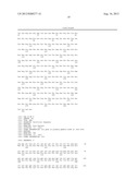 NOVEL DNA CLONING METHOD RELYING ON THE E.COLI recE/recT RECOMBINATION     SYSTEM diagram and image