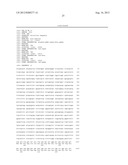 NOVEL DNA CLONING METHOD RELYING ON THE E.COLI recE/recT RECOMBINATION     SYSTEM diagram and image