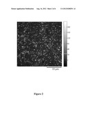 METHODS AND COMPOSITIONS FOR MEASURING HIGH AFFINITY INTERACTIONS WITH     KINETIC IMAGING OF SINGLE MOLECULE INTERACTION (KISMI) diagram and image