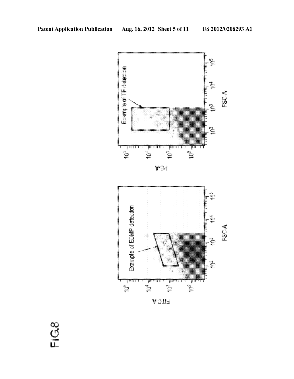 NOVEL METHOD FOR TESTING VASCULAR ENDOTHELIAL DAMAGE AND TESTING KIT - diagram, schematic, and image 06