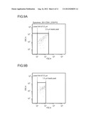 NOVEL METHOD FOR TESTING VASCULAR ENDOTHELIAL DAMAGE AND TESTING KIT diagram and image