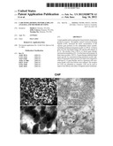 Carcinoma Homing Peptide (CHP), Its Analogs, and Methods of Using diagram and image