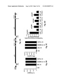 Carcinoma Homing Peptide (CHP), Its Analogs, and Methods of Using diagram and image