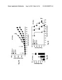 Carcinoma Homing Peptide (CHP), Its Analogs, and Methods of Using diagram and image