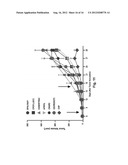 Carcinoma Homing Peptide (CHP), Its Analogs, and Methods of Using diagram and image