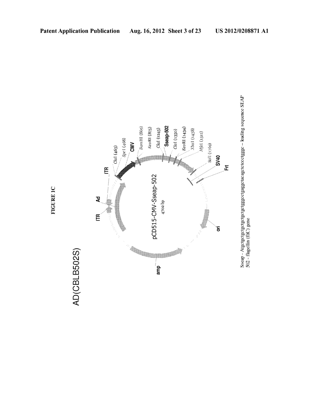 USE OF TOLL-LIKE RECEPTOR AND AGONIST FOR TREATING CANCER - diagram, schematic, and image 04