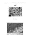 COMPOSITE MATERIAL WITH PROPERTIES OF SELF-HEALING AND RELEASE OF ACTIVE     INGREDIENTS, FOR BIOMEDICAL APPLICATIONS diagram and image