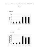 COMPOSITE MATERIAL WITH PROPERTIES OF SELF-HEALING AND RELEASE OF ACTIVE     INGREDIENTS, FOR BIOMEDICAL APPLICATIONS diagram and image