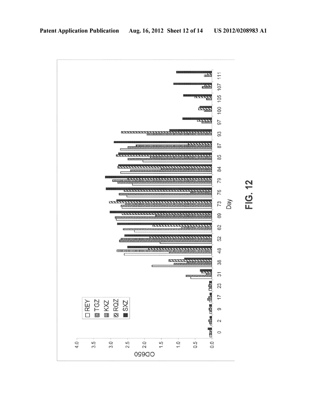 METHODS, DEVICES, KITS AND COMPOSITIONS FOR DETECTING WHIPWORM - diagram, schematic, and image 13