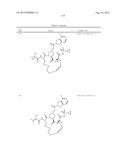 NOVEL MACROCYCLIC INHIBITORS OF HEPATITIS C VIRUS REPLICATION diagram and image