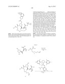 NOVEL MACROCYCLIC INHIBITORS OF HEPATITIS C VIRUS REPLICATION diagram and image