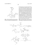 NOVEL MACROCYCLIC INHIBITORS OF HEPATITIS C VIRUS REPLICATION diagram and image