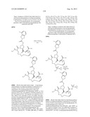 NOVEL MACROCYCLIC INHIBITORS OF HEPATITIS C VIRUS REPLICATION diagram and image