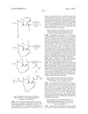 NOVEL MACROCYCLIC INHIBITORS OF HEPATITIS C VIRUS REPLICATION diagram and image