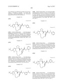 NOVEL MACROCYCLIC INHIBITORS OF HEPATITIS C VIRUS REPLICATION diagram and image