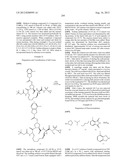 NOVEL MACROCYCLIC INHIBITORS OF HEPATITIS C VIRUS REPLICATION diagram and image