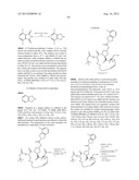 NOVEL MACROCYCLIC INHIBITORS OF HEPATITIS C VIRUS REPLICATION diagram and image