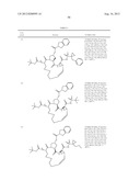 NOVEL MACROCYCLIC INHIBITORS OF HEPATITIS C VIRUS REPLICATION diagram and image