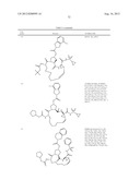 NOVEL MACROCYCLIC INHIBITORS OF HEPATITIS C VIRUS REPLICATION diagram and image