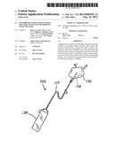 LOW-PROFILE INTRALUMINAL LIGHT DELIVERY SYSTEM AND METHODS OF USING THE     SAME diagram and image