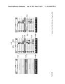 SNAP MOBILE PAYMENT APPARATUSES, METHODS AND SYSTEMS diagram and image