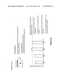 System and Method for Providing Borrowing Schemes diagram and image