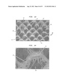 Method Of Making A Cellulosic Absorbent Sheet diagram and image