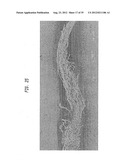 Method Of Making A Cellulosic Absorbent Sheet diagram and image