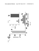 NANOMOTOR-BASED PATTERNING OF SURFACE MICROSTRUCTURES diagram and image