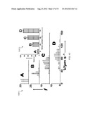 NANOMOTOR-BASED PATTERNING OF SURFACE MICROSTRUCTURES diagram and image