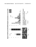 NANOMOTOR-BASED PATTERNING OF SURFACE MICROSTRUCTURES diagram and image