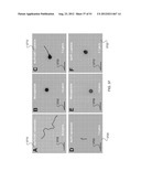 NANOMOTOR-BASED PATTERNING OF SURFACE MICROSTRUCTURES diagram and image