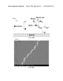 NANOMOTOR-BASED PATTERNING OF SURFACE MICROSTRUCTURES diagram and image