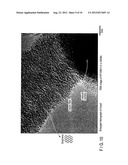 GRAPHITE NANO-CARBON FIBER AND METHOD OF PRODUCING THE SAME diagram and image