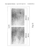 Prodrug composition for skin with twin protecting groups bound by     disubstituted benzene diagram and image