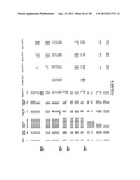 METHODS AND COMPOSITIONS FOR TREATING AUTOIMMUNE DISEASES diagram and image