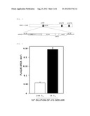 VIRUS GROWING IN HYPOXIC CELL OR VIRUS VECTOR EXPRESSING GENE THEREIN diagram and image