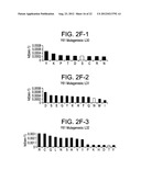 HUMAN ANTIBODIES THAT BIND HUMAN IL-12 AND METHODS FOR PRODUCING diagram and image