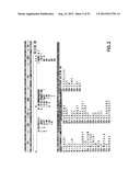 AX213 AND AX132 PSCK9 ANTAGONISTS AND VARIANTS diagram and image