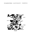 AX213 AND AX132 PSCK9 ANTAGONISTS AND VARIANTS diagram and image