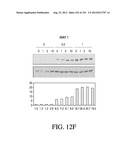 ANTIGEN BINDING PROTEINS TO PROPROTEIN CONVERTASE SUBTILISIN KEXIN TYPE 9     (PCSK9) diagram and image