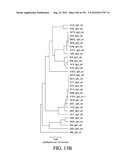 ANTIGEN BINDING PROTEINS TO PROPROTEIN CONVERTASE SUBTILISIN KEXIN TYPE 9     (PCSK9) diagram and image