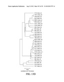 ANTIGEN BINDING PROTEINS TO PROPROTEIN CONVERTASE SUBTILISIN KEXIN TYPE 9     (PCSK9) diagram and image